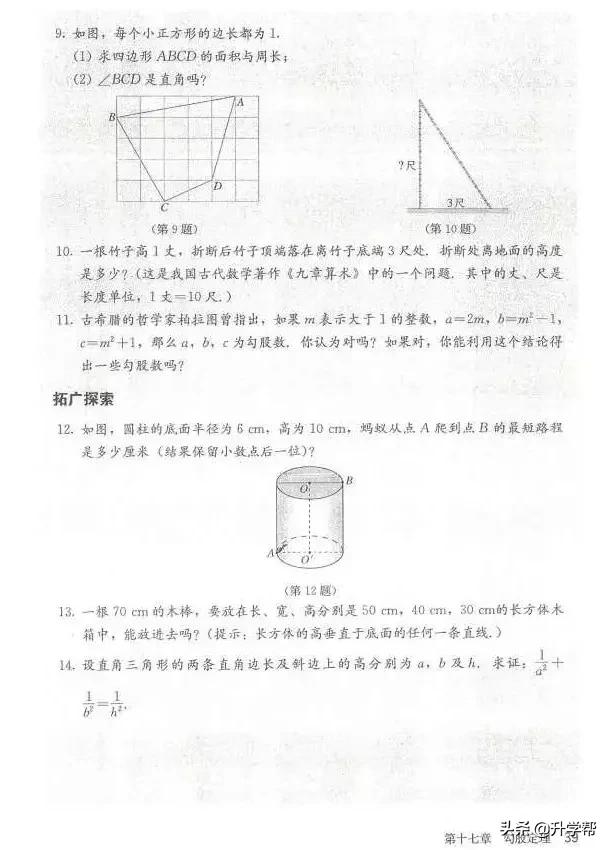 华师大八年级下册数学知识点总结,八年级下册数学华师大版预习笔记