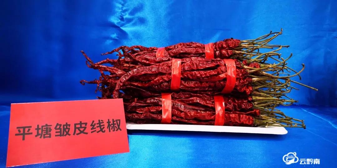 千椒有百味黔南最香辣黔南辣椒亮相辣博会