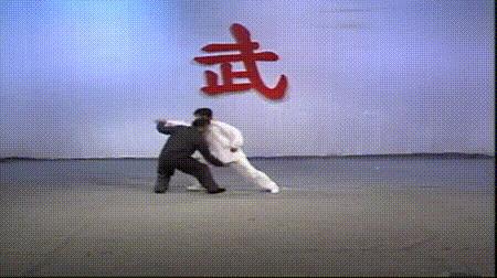 螳螂拳的实战杀法,最猛螳螂拳全套慢动作教学