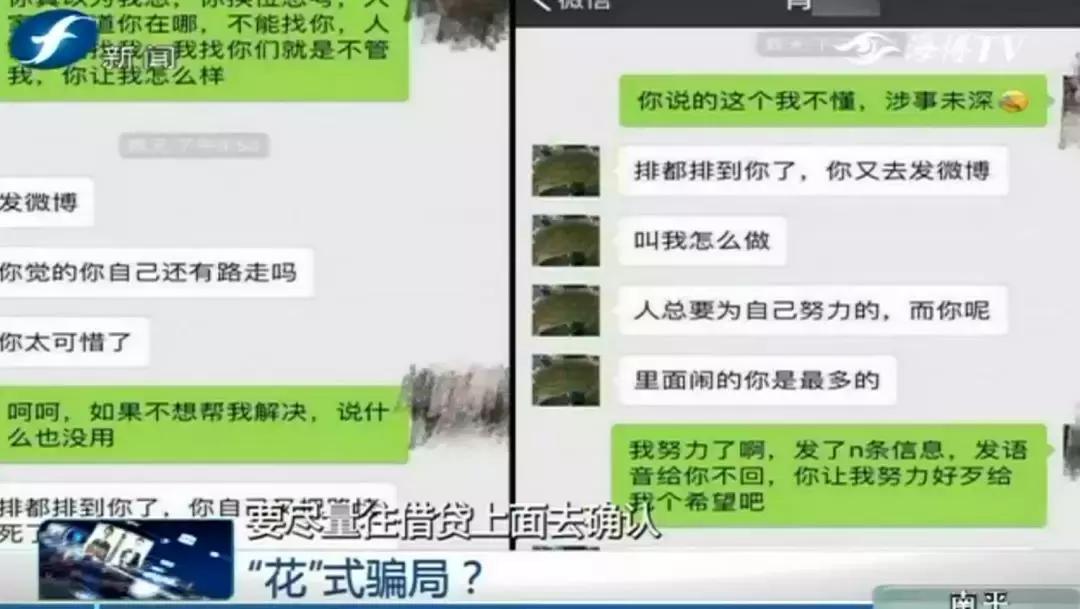 就是这些花……泉州有人为它花了几百万！