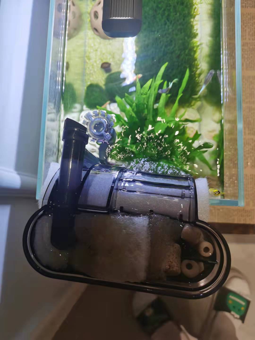 龟缸沼泽过滤养鱼制作方法,圆缸养鱼如何过滤