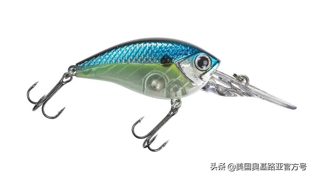 全国渔具展会2021时间表图片,2023国际渔具展会大全一览表