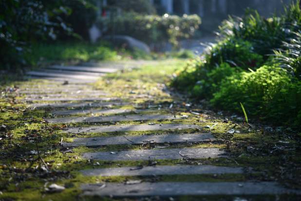 上海回不去的青春,上海市建平中学老照片