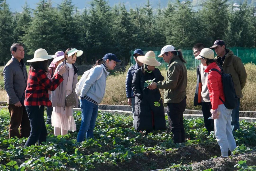 让农业真正回归照顾生命