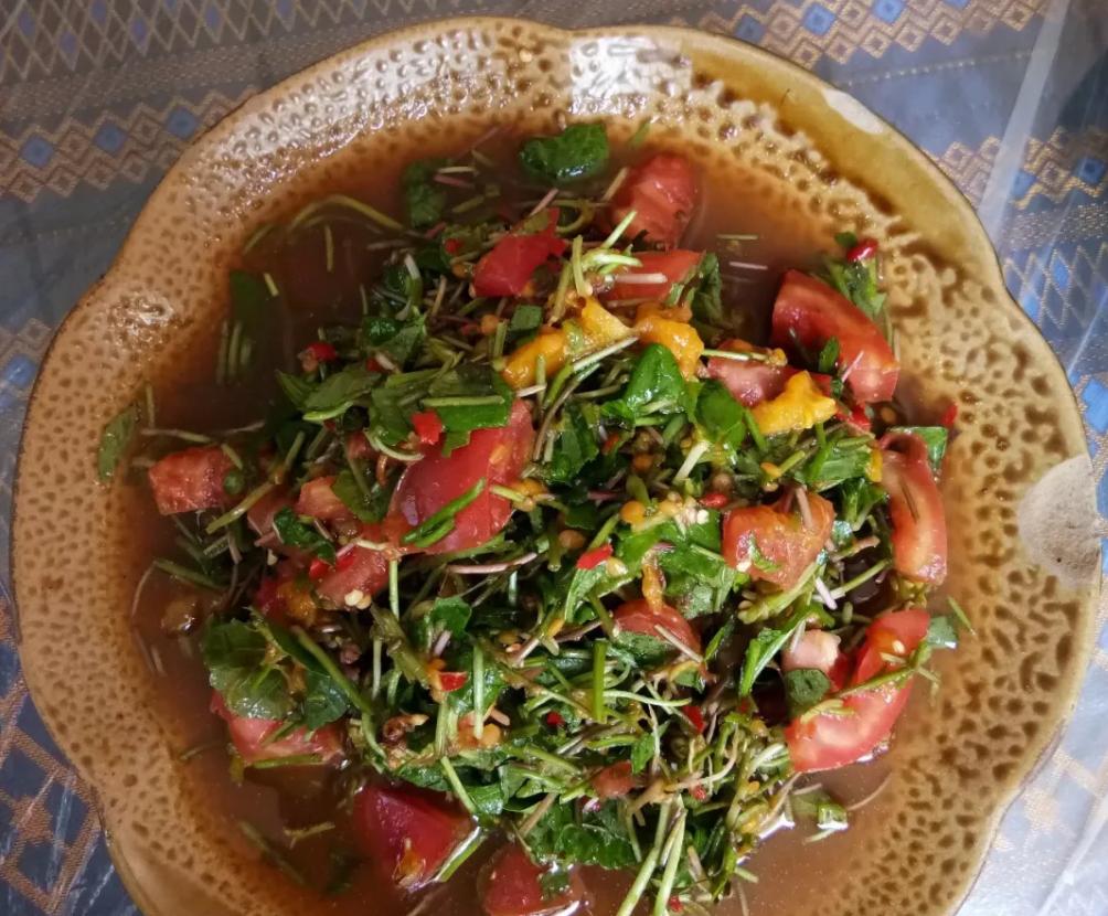 云南傣族野菜蘸水配方,野菜怎么做好吃法大全视频