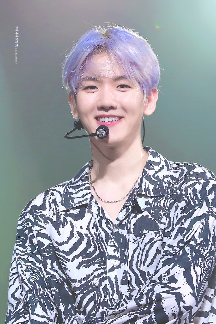 边伯贤生日直播和粉丝约定,边伯贤生日会应援花