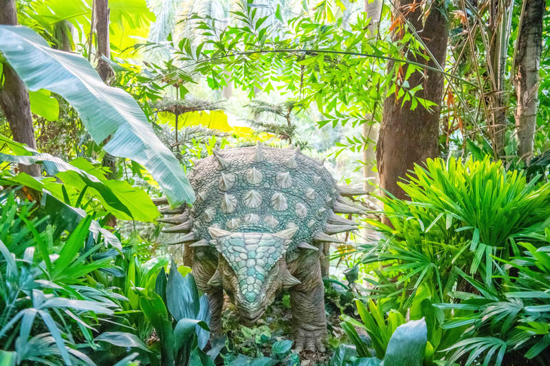 广州长隆野生动物世界旅游攻略,长隆野生动物世界攻略2-3天广州游