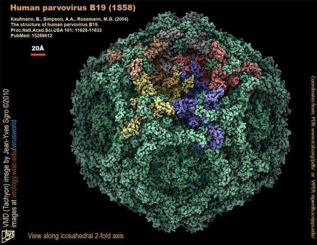 儿童脸上出现红疹怎么回事,孩子脸上有红疹是怎么回事