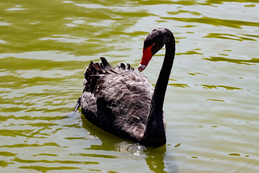 3250万像素仅售7649元，佳能新出的90D单反究竟有多香？