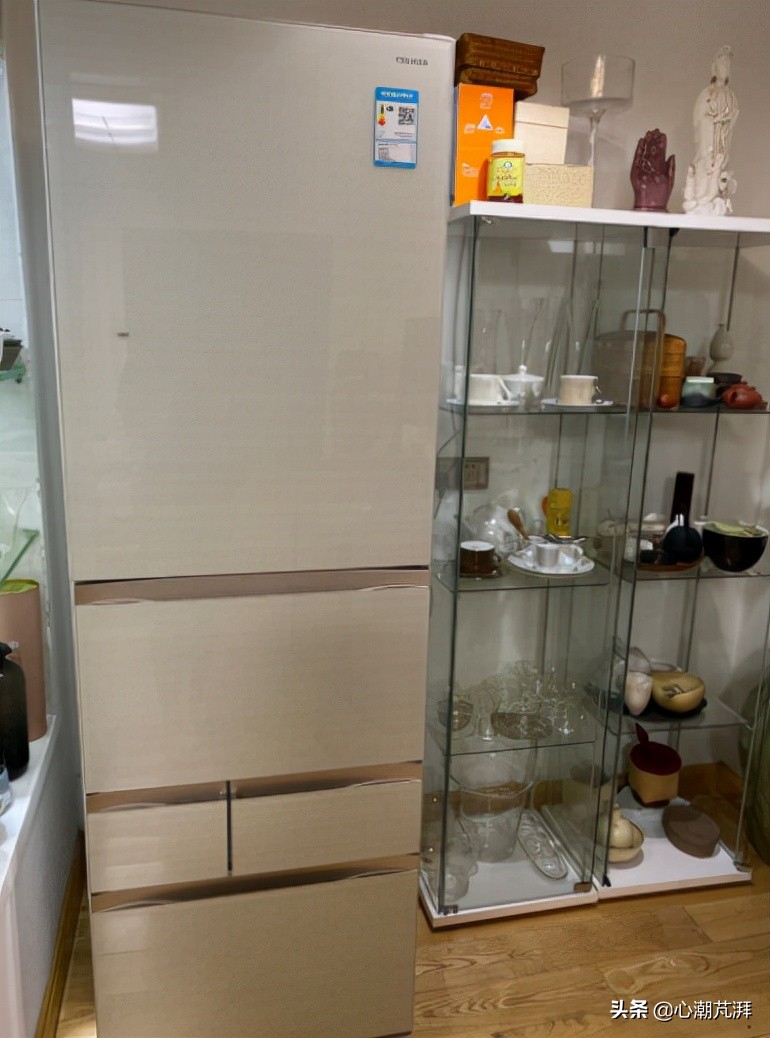 冰箱装修知识讲解图大全,装修日记冰箱一定要好好选