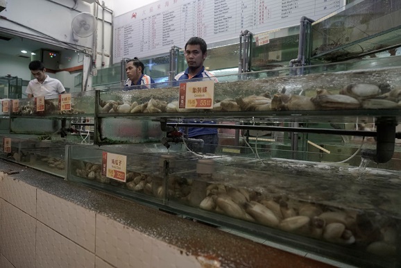 沙巴自由行超详细攻略 (沙巴攻略详细介绍)