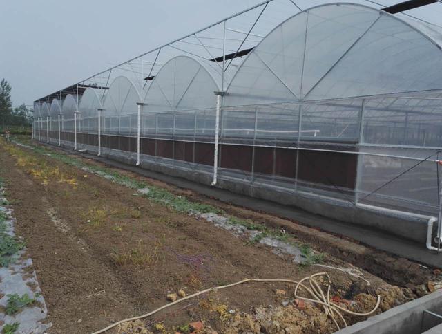 简易薄膜连栋温室大棚建造全过程,连栋薄膜连体温室大棚大全