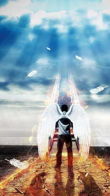 吃粽子看路人反应,吃着粽子看龙舟