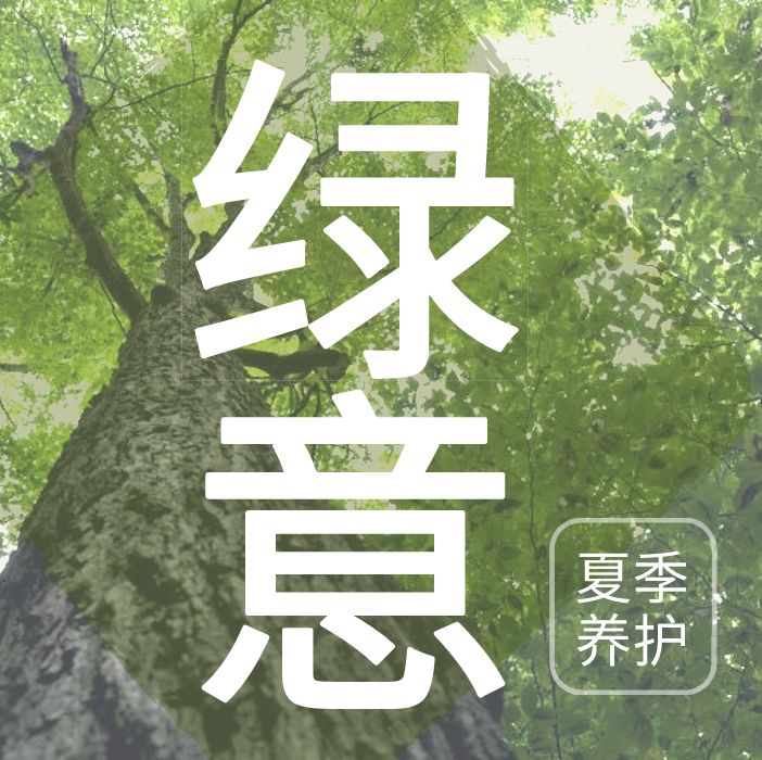 战高温斗酷暑坚守一线工地,战高温斗酷暑坚守一线照片