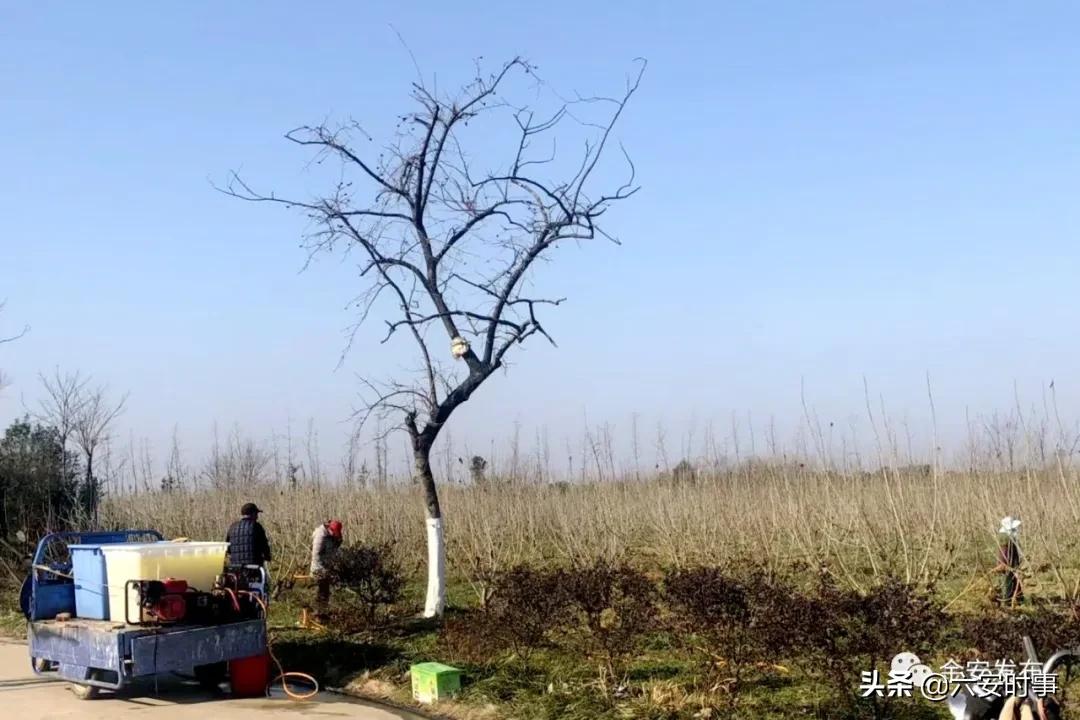 开工！“犇”起来