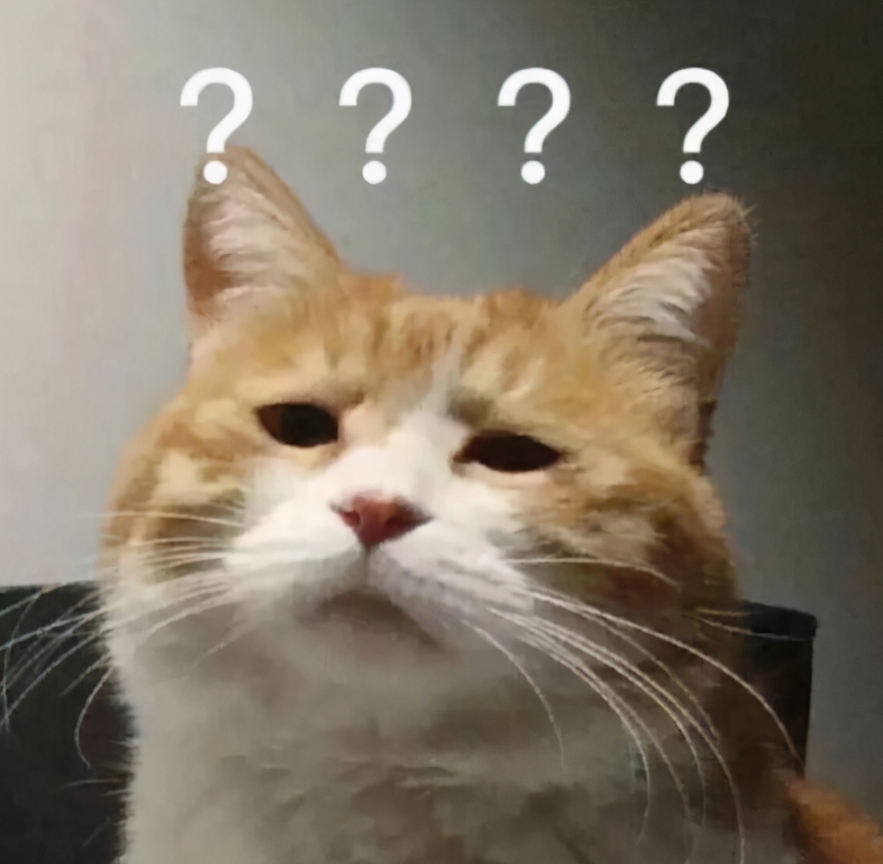 哈尔滨男子结识漂亮女网友，对方提出个特别的“见面方式”