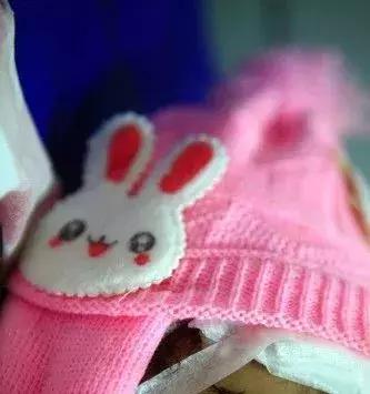 辽沈大案要案纪实,辽沈大案始末