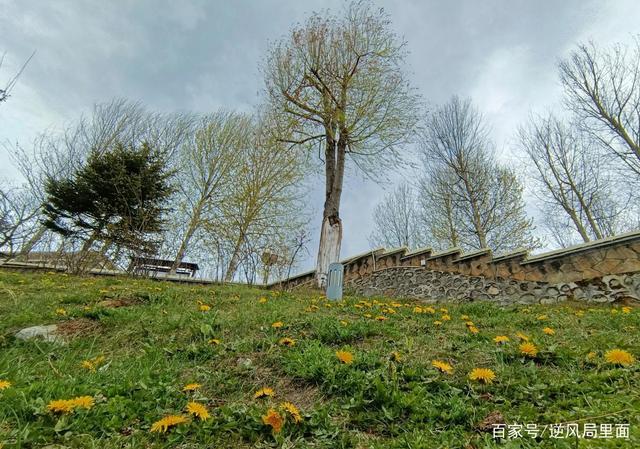 酥油书籍在线阅读,酥油推荐