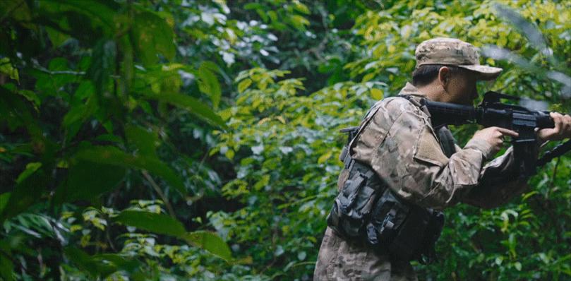 赵文卓和甄子丹矛盾的电影,赵文卓和甄子丹同演的电影