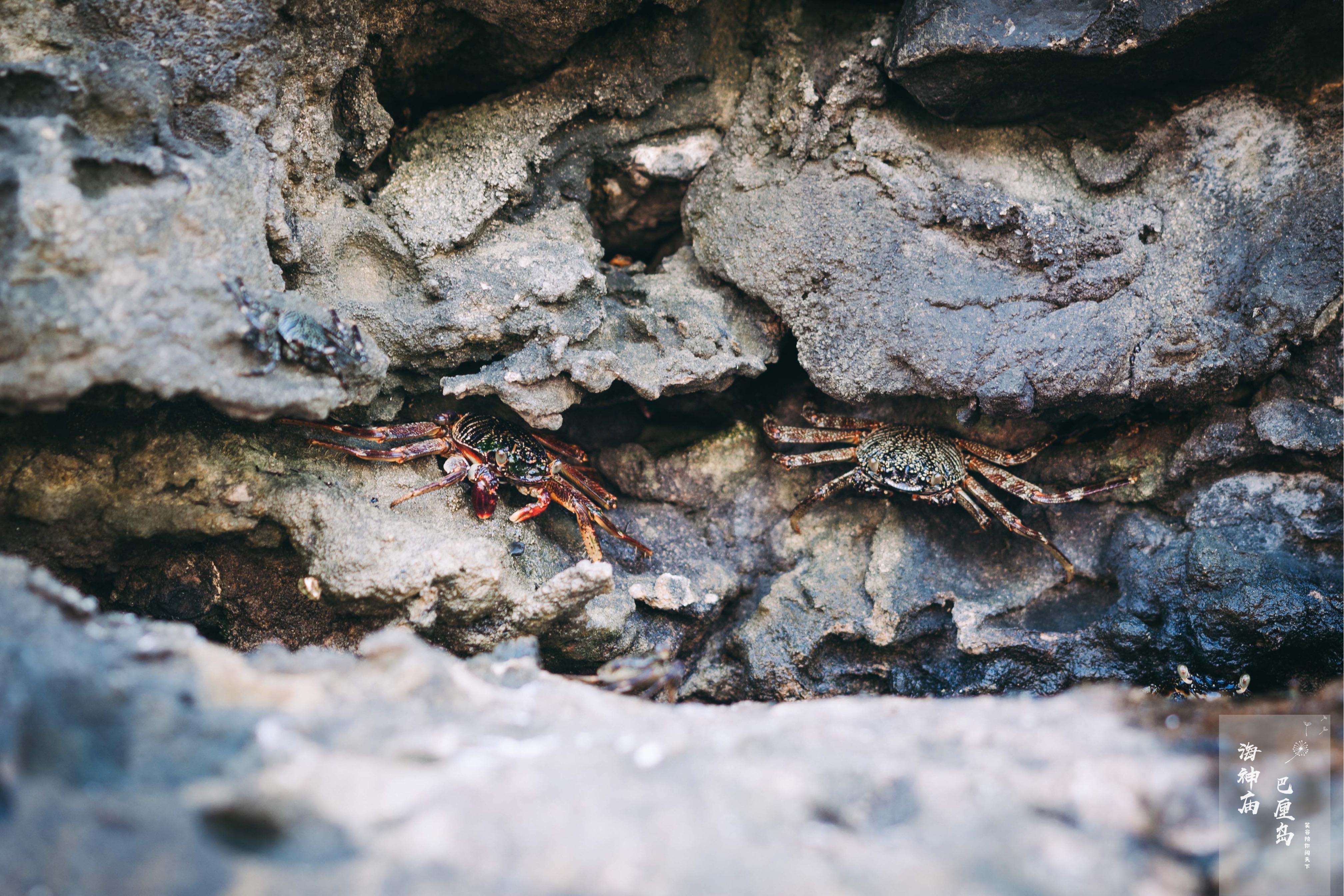 巴厘岛网红打卡地,网红打卡旅游胜地巴厘岛