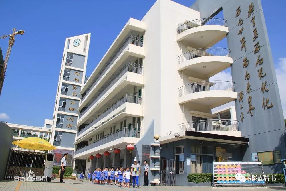 深圳南山外国语小学排名,深圳南山区最好的小学