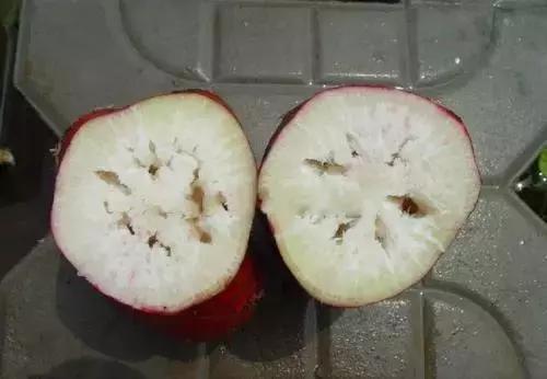 什么菜是有毒的但老百姓都在吃,浙江人警惕这3种菜有毒千万别吃