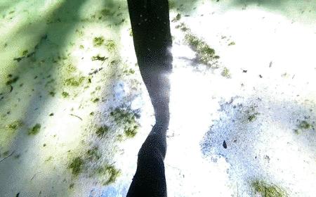 本以为是个恶心的臭水塘，没想到水下居然美到炸裂