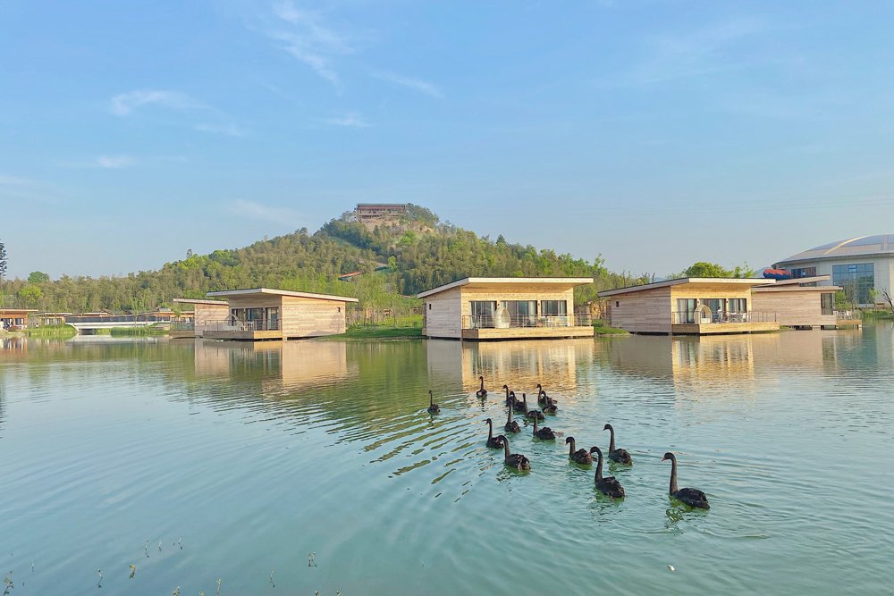 梁建章领衔的携程直播,梁建章携程直播云南