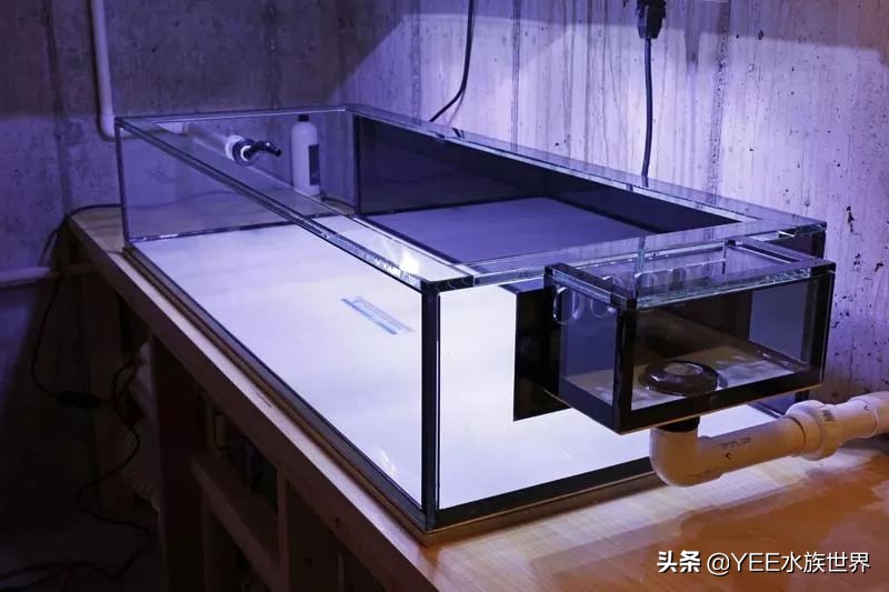 超白缸的优点和缺点,超白缸优点