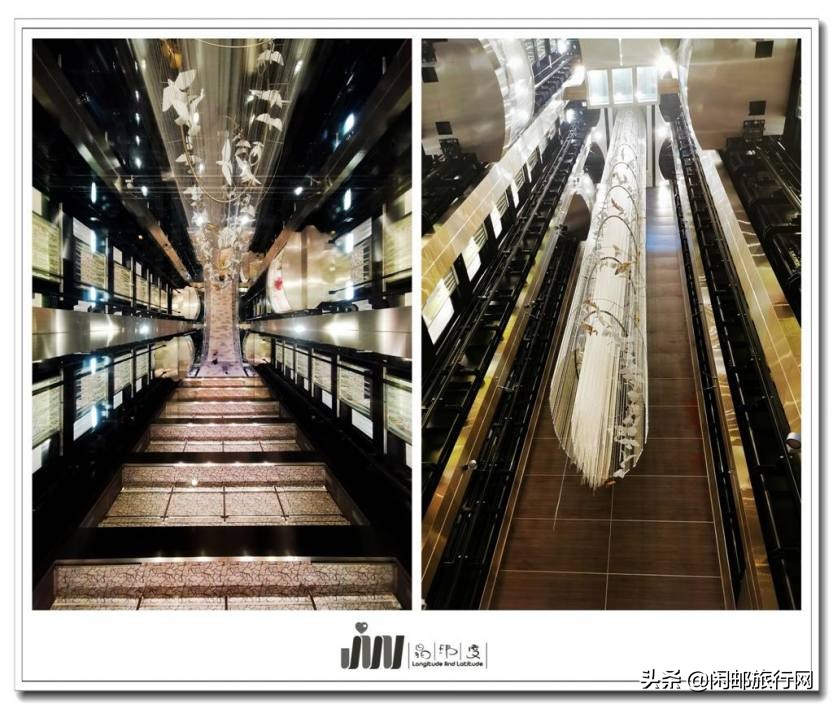 带上家人一起享受大自然的美,上海海洋光谱号旅游攻略