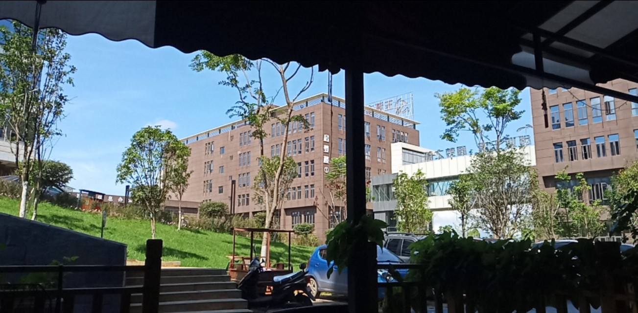 冯成毅期货交易技巧,冯成毅的期货交易