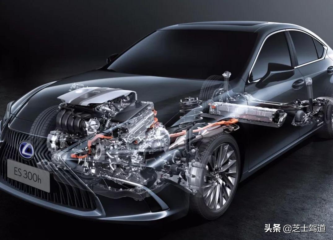 雷克萨斯追玛莎,雷克萨斯追爱