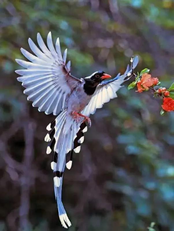 每周摄影作品展的第102期佳作欣赏,每周摄影作品展官网