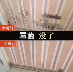 家里墙发霉，别听补漏“忽悠”花冤枉钱，教你一个新方法轻松除霉