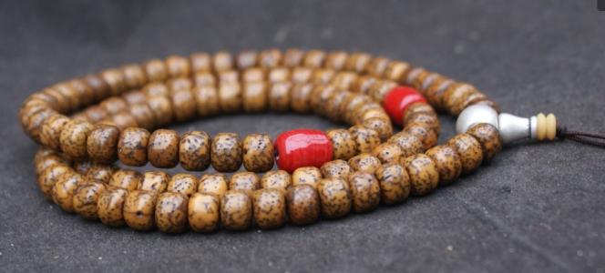 星月菩提的秘密视频,星月菩提阴皮染色区分