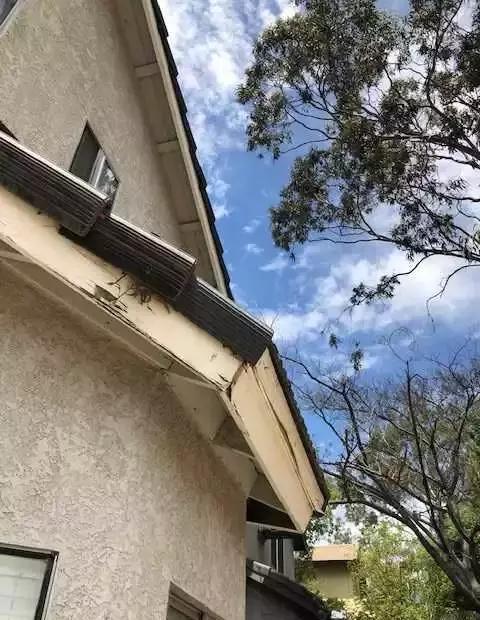 租房热门地段,破房子租五万块一个月