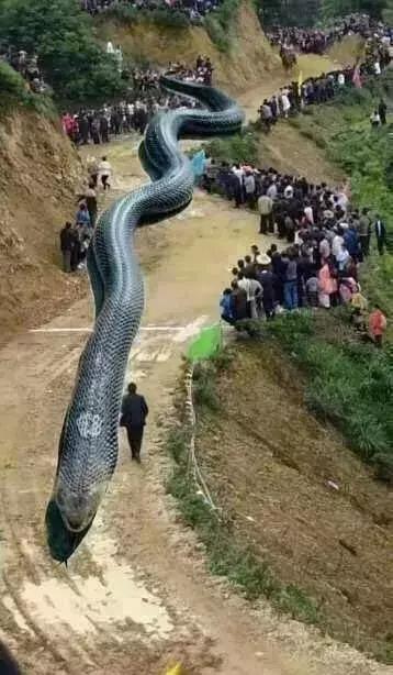 骗了我们十几年的近视谣言,这些都是谣言英语