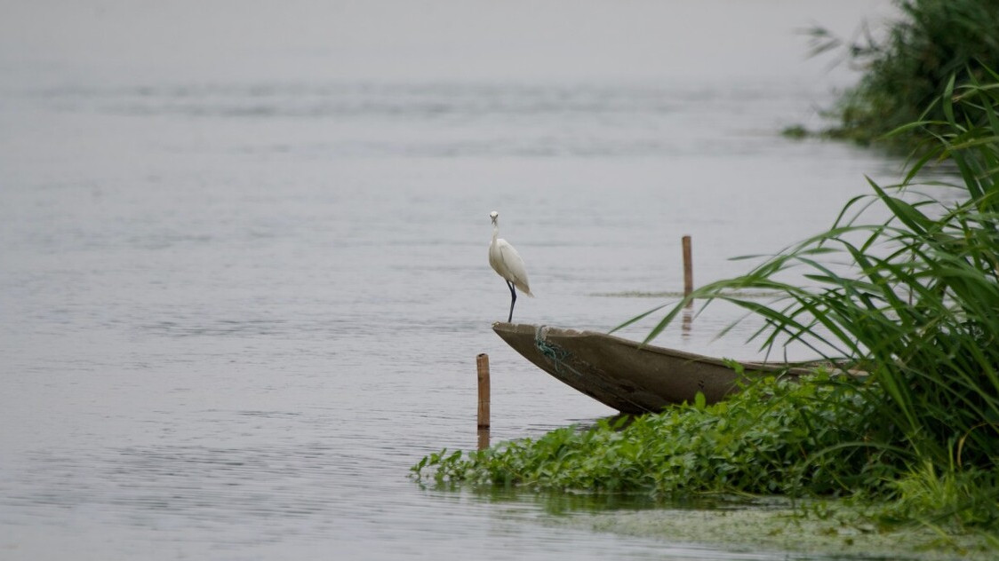 苏东坡最经典的七句诗,苏东坡最经典20首词