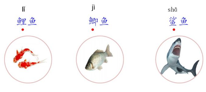 统编版三年级上册语文新课程答案,人教版三年级上册语文课后练习题