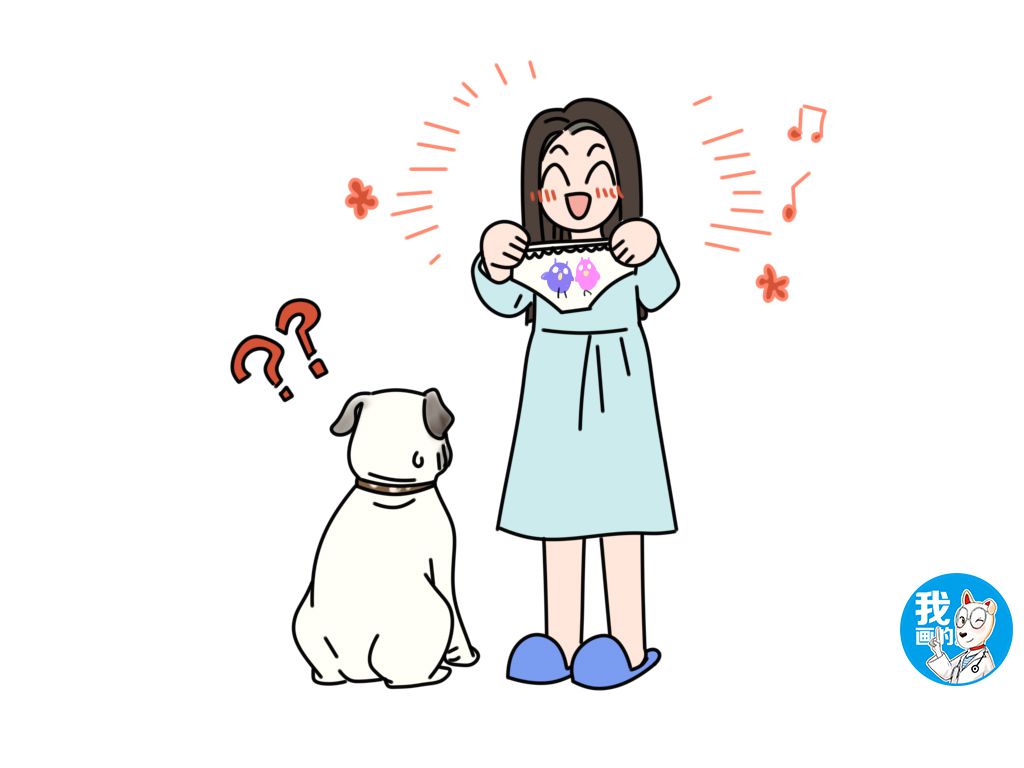 狗子来月经穿生理裤,狗子生理期生理裤自制