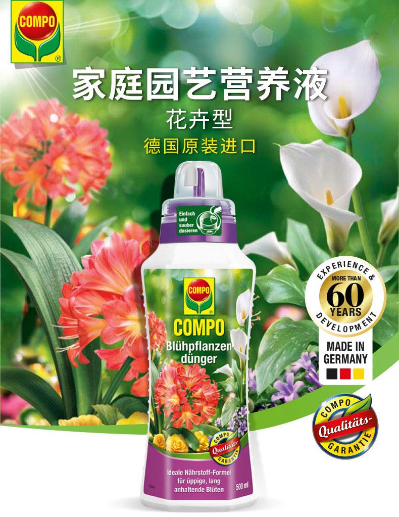 一棵就能爬满墙？这波操作服了