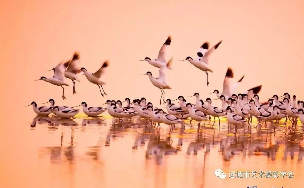 你们听说过死海吗,你听说过海洋中的强大生物吗