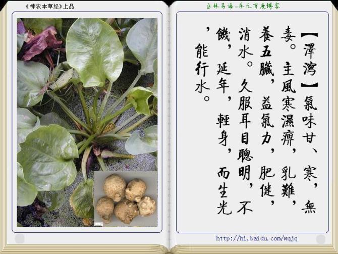 本草纲目中药讲解视频,本草纲目中药图谱及药理讲解