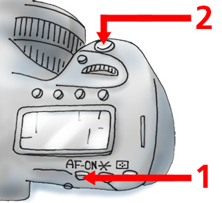 摄影小白怎么学会构图,摄影精准聚焦技巧