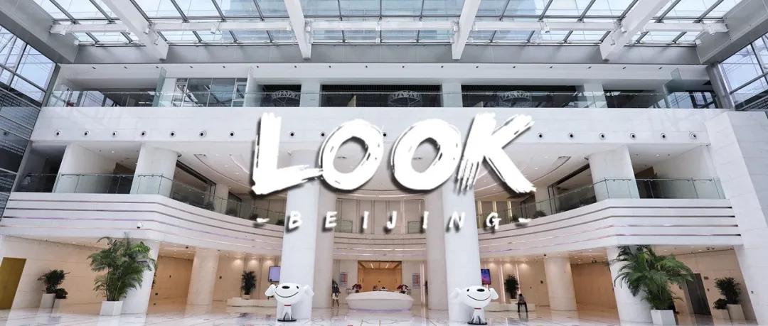 别人家的公司,别人家的公司还招人吗