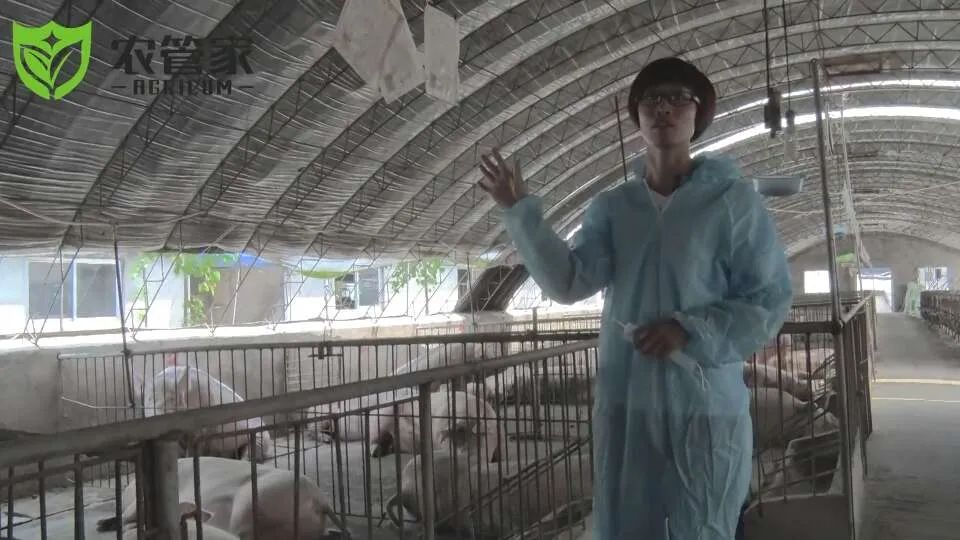 杨建辉最近视频,杨建辉的作品