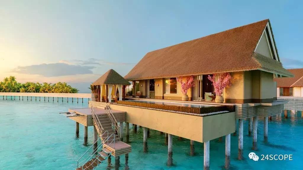 马尔代夫最美度假旅游岛酒店,马尔代夫娇丽酒店价格