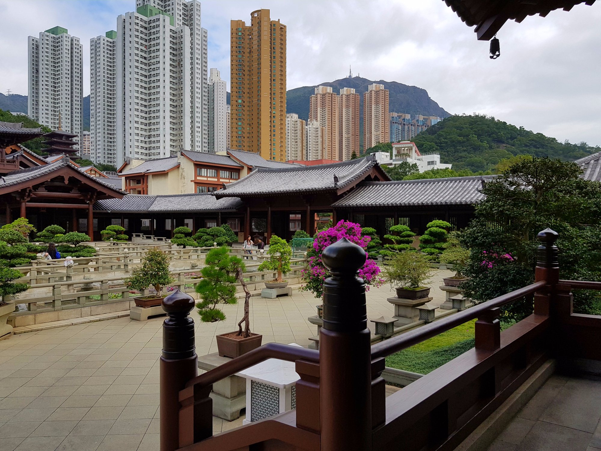 香港志莲净苑地图,香港志莲净苑好玩吗