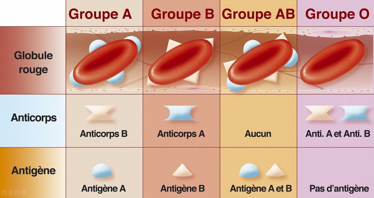 中国出现极其罕见的血型,全球排名前三罕见血型