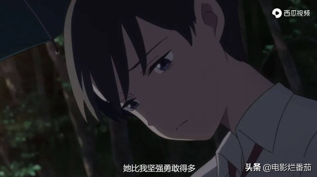 这部温情的撸猫片，让我哭得溃不成军，这是全世界猫*党**的胜利